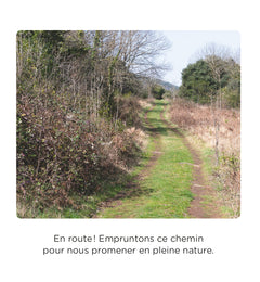 Balade en forêt