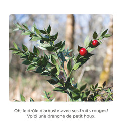 Balade en forêt