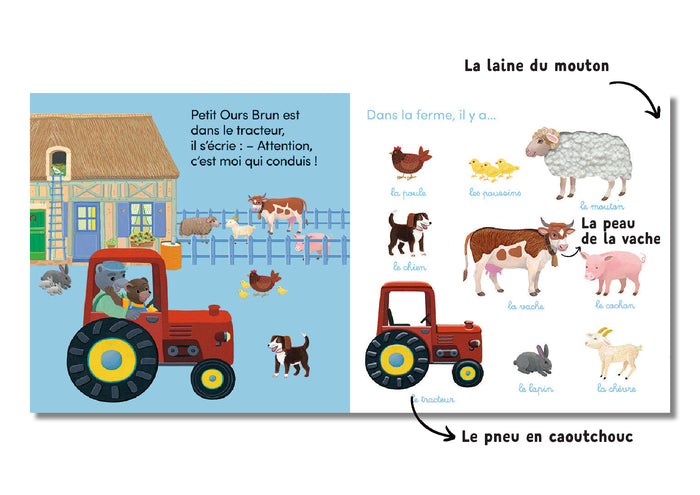 L'imagier à toucher de Petit Ours Brun - Dès 1 an