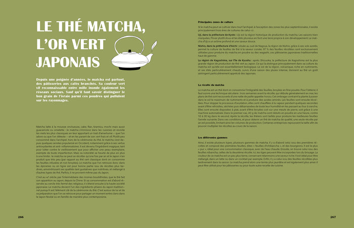 Mon grand livre de cuisine japonaise