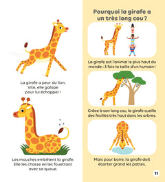 Les animaux de la savane