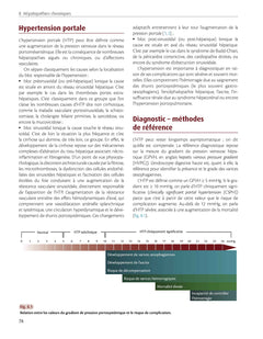 Imagerie du foie