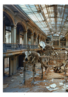 Les Ruines de Paris