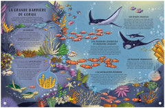 Les secrets de la nuit