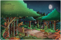 Les secrets de la nuit