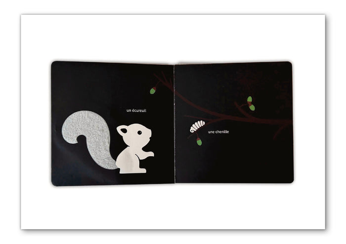 Mes animaux tout doux du jardin