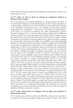 La protection des droits fondamentaux en France - Tome II