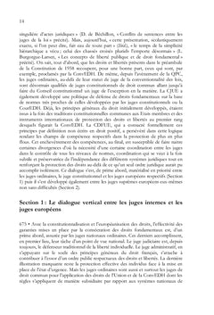 La protection des droits fondamentaux en France - Tome II