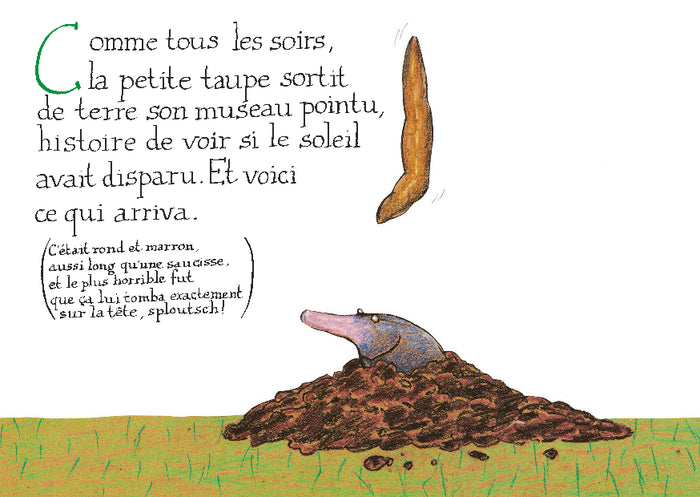 De la petite taupe qui voulait savoir qui lui avait fait sur la tête