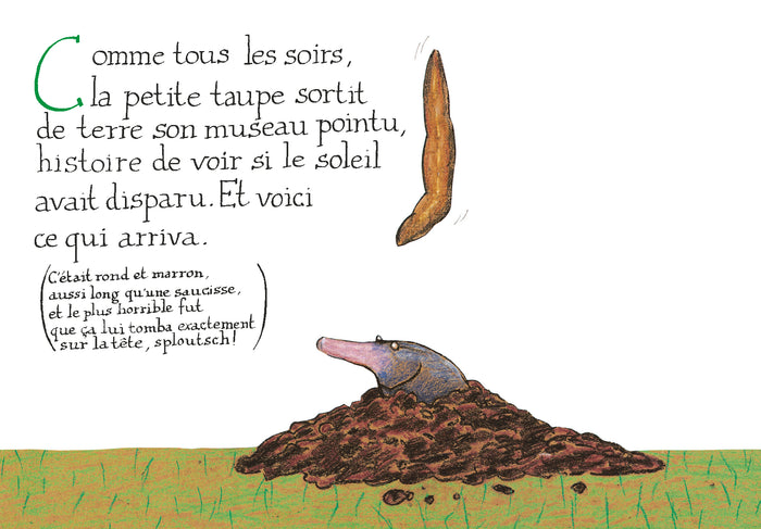 De la petite taupe qui voulait savoir qui lui avait fait sur la tête