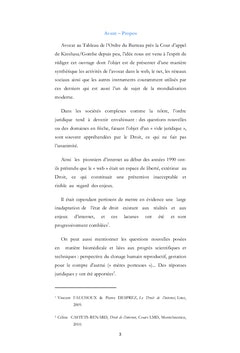 L'e-consulting de l'Avocat