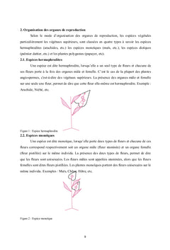 Amélioration des plantes