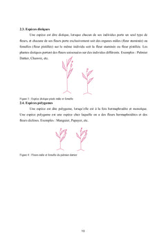 Amélioration des plantes