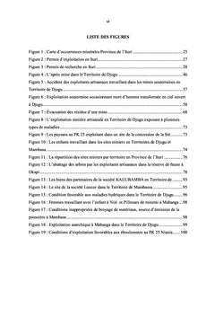 Impact environnemental et social des activités Minières en ITURI/RDC