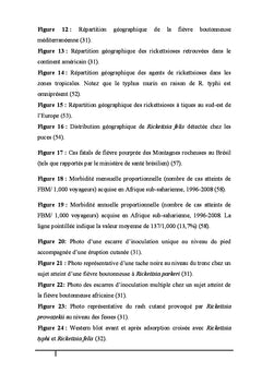 Les rickettsioses: diagnostic et prise en charge thérapeutique