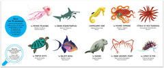 Qui suis-je ? Les animaux des mers