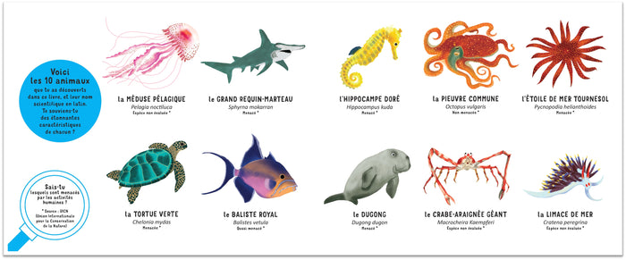 Qui suis-je ? Les animaux des mers
