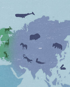 Animaux sauvages du monde entier