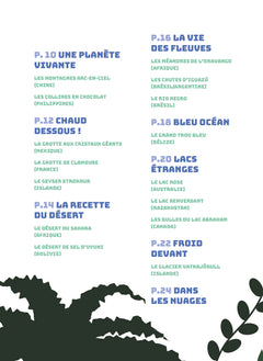 Phénoménal
