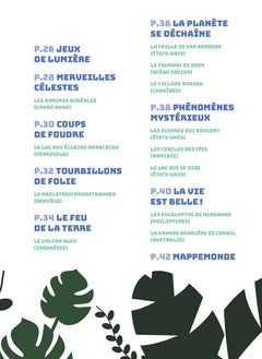 Phénoménal