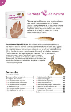 Traces et empreintes