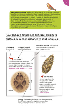 Traces et empreintes