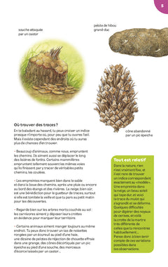 Traces et empreintes