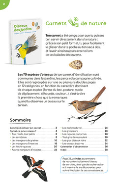 Oiseaux des jardins