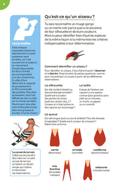 Oiseaux des jardins