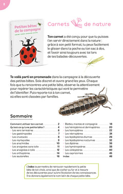 Petites bêtes de la campagne