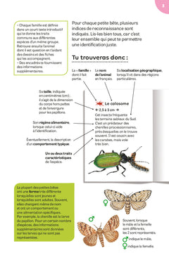Petites bêtes de la campagne