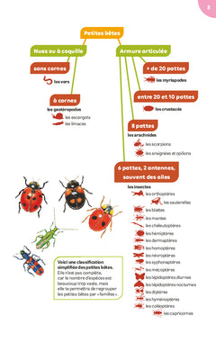 Petites bêtes de la campagne