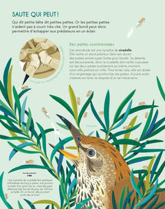 Petits mais costauds - Le pouvoir extraordinaire des animaux