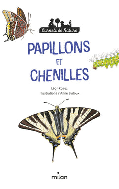 Papillons et chenilles