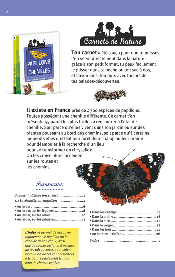 Papillons et chenilles