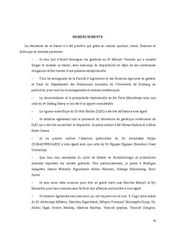 Diversite genetique et structure de la population de cobaye domestique