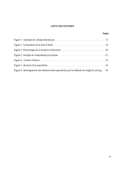 Diversite genetique et structure de la population de cobaye domestique