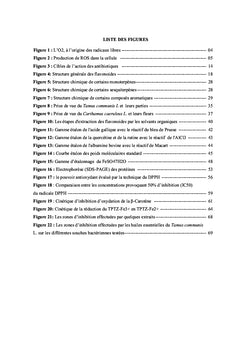 Plantes medicinales Activites antioxydantes et antibacteriennes