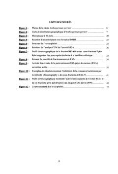 Etudes Chimique et Biologique des Extraits d'Anthospermum Perrieri