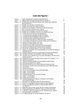 Conception assistee par ordinateur des circuits integres MeSFeT GaAs