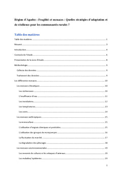 Region d'Agadez : Fragilite et menaces