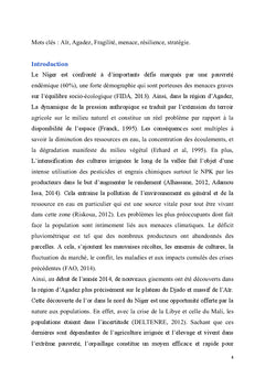 Region d'Agadez : Fragilite et menaces
