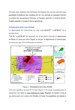 Region d'Agadez : Fragilite et menaces