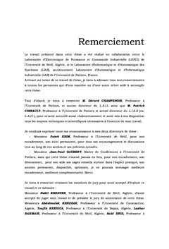 Contribution à l'étude des filtres actifs de puissance hybrides