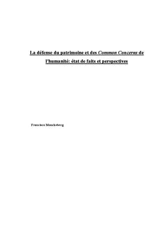 La défense des Common Concerns et du patrimoine commun de l'Humanité