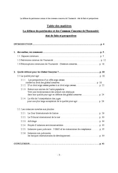 La défense des Common Concerns et du patrimoine commun de l'Humanité