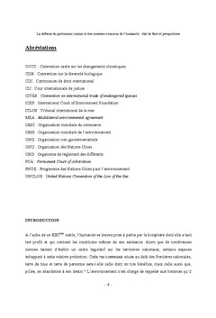La défense des Common Concerns et du patrimoine commun de l'Humanité