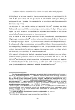 La défense des Common Concerns et du patrimoine commun de l'Humanité