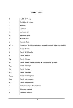 Transformations finies des alliages à mémoire de forme à base de Fer
