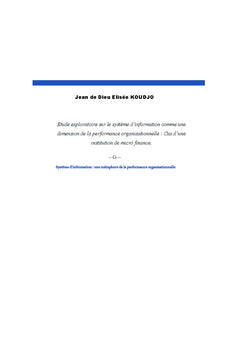 systeme d'information: metaphore de la performance organisationnelle